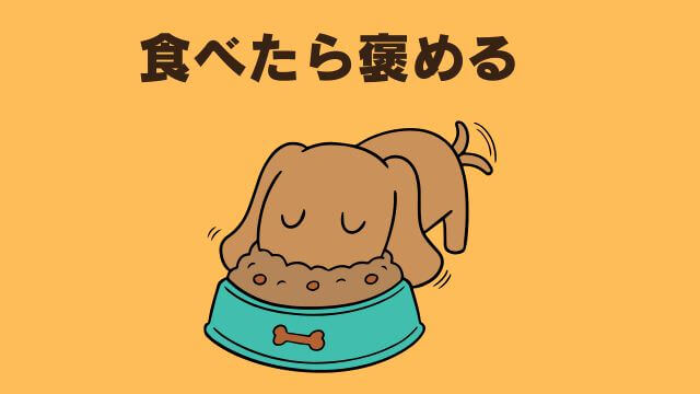 老犬ご飯食べないおやつは食べる