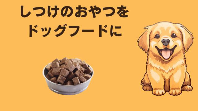 老犬ご飯食べないおやつは食べる