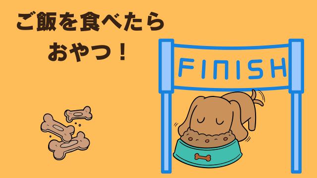 老犬ご飯食べないおやつは食べる