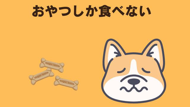 老犬ご飯食べないおやつは食べる