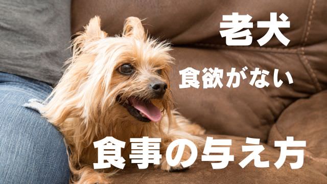 老犬が食欲がない