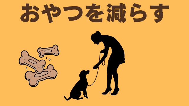 老犬が食欲がない