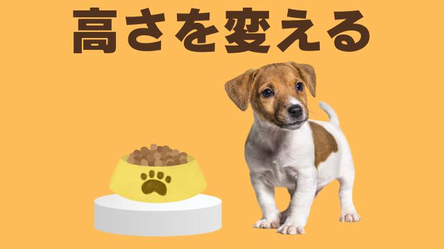 老犬が食欲がない