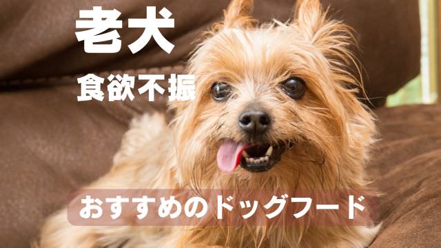 老犬が食欲がない