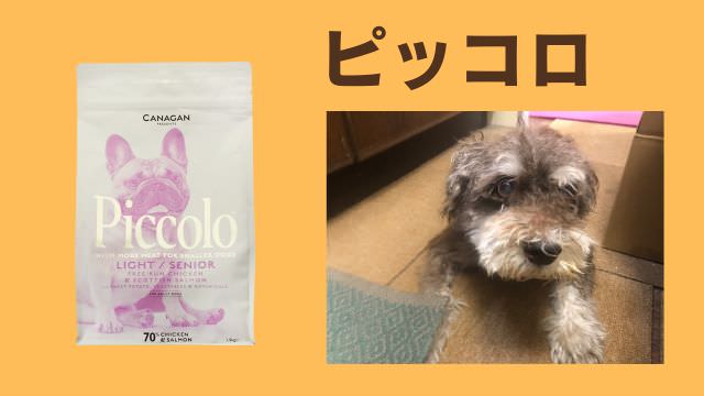 老犬が食欲がない