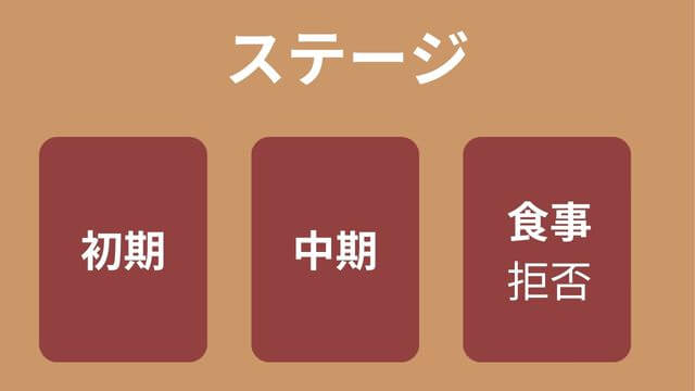 老犬がご飯を食べない