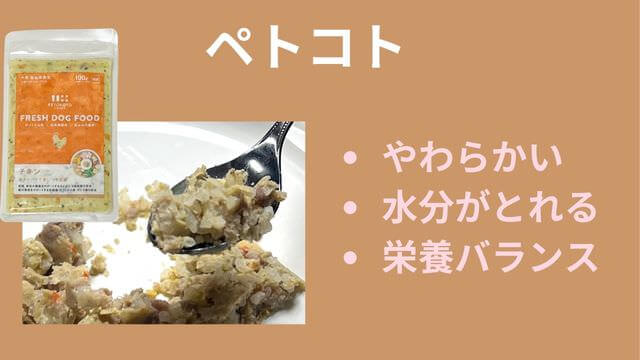老犬がご飯を食べない