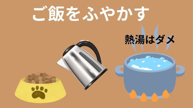老犬がご飯を食べない