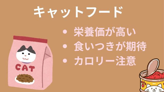 老犬がご飯を食べない