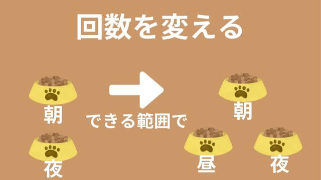 老犬がご飯を食べない