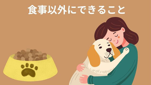 老犬がご飯を食べない