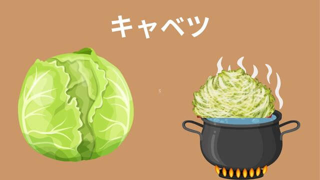 老犬がご飯を食べない