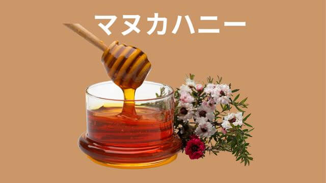 老犬がご飯を食べない