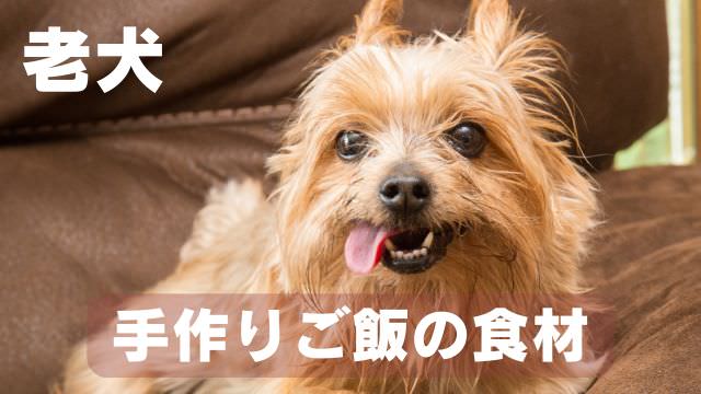 老犬がご飯を食べないなら手作りご飯