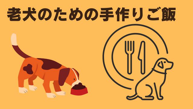 老犬がご飯を食べないなら手作りご飯