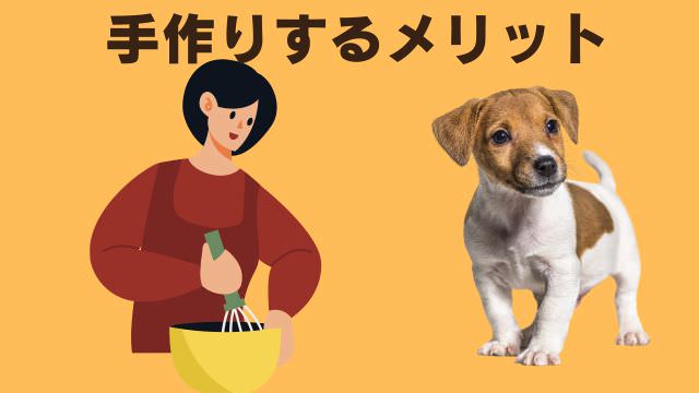 老犬がご飯を食べないなら手作りご飯