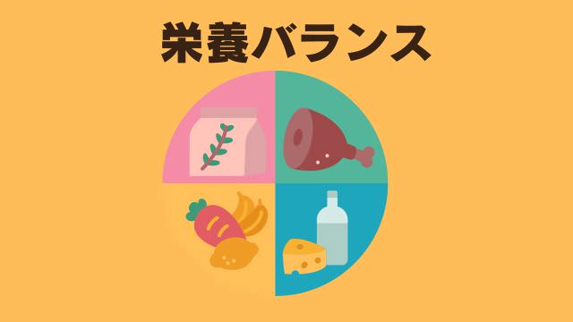 老犬がご飯を食べないなら手作りご飯