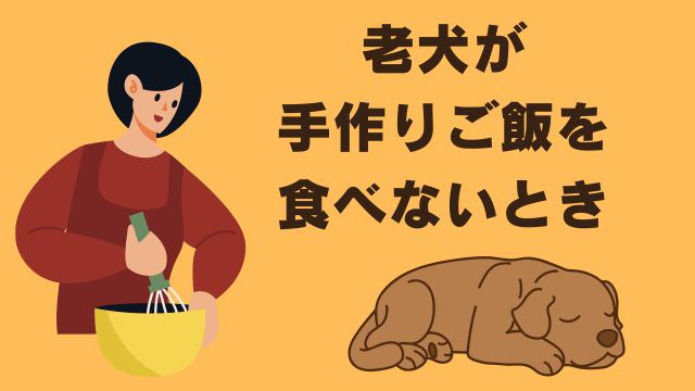 老犬がご飯を食べないなら手作りご飯