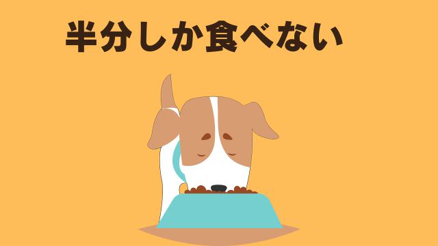 老犬がご飯を食べないなら手作りご飯