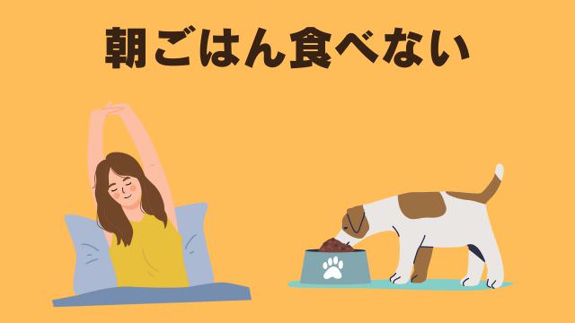 老犬がご飯を食べないなら手作りご飯