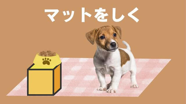 老犬がご飯を食べないときの食べさせ方