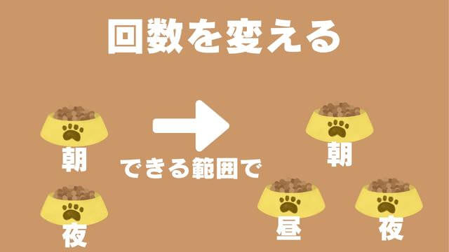 老犬がご飯を食べないときの食べさせ方