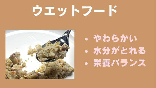 老犬がご飯を食べないときの食べさせ方