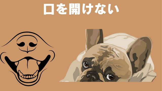 老犬がご飯を食べないときの食べさせ方