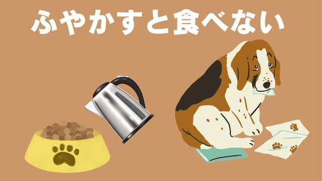老犬がご飯を食べないときの食べさせ方