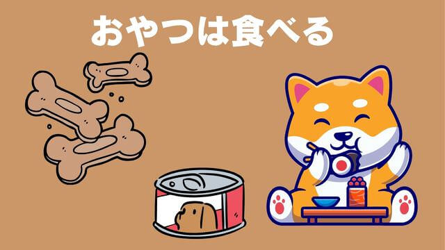 老犬がご飯を食べないときの食べさせ方