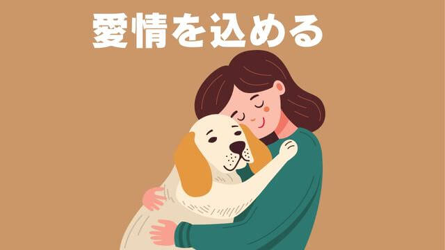 老犬がご飯を食べないときの食べさせ方