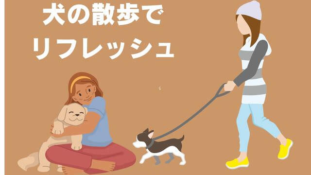 老犬がご飯を食べないときの食べさせ方