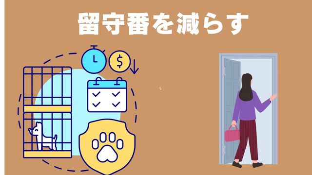 老犬がご飯を食べないときの食べさせ方