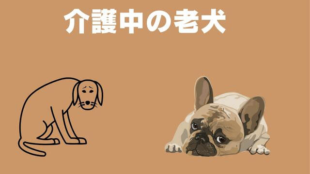 老犬がご飯を食べないときの食べさせ方