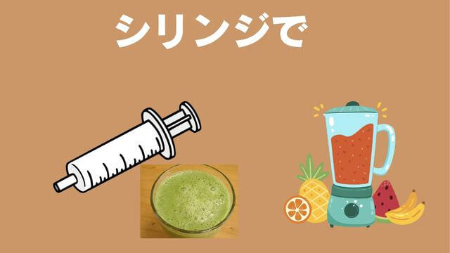 老犬がご飯を食べないときの食べさせ方