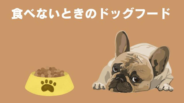老犬がご飯を食べないときの食べさせ方