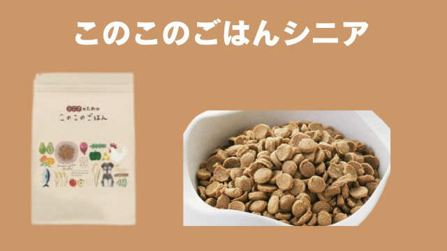 老犬がご飯を食べないときの食べさせ方
