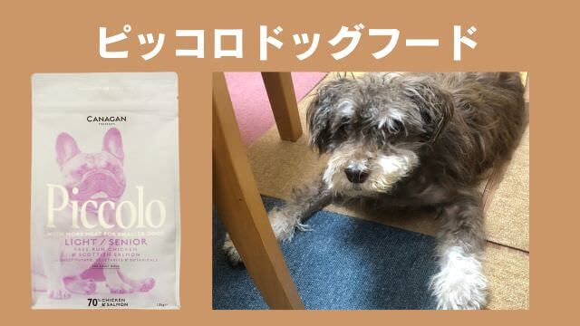 老犬がご飯を食べないときの食べさせ方