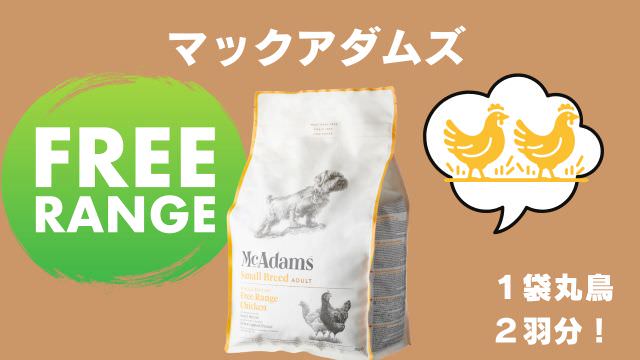 老犬がご飯を食べないときの食べさせ方