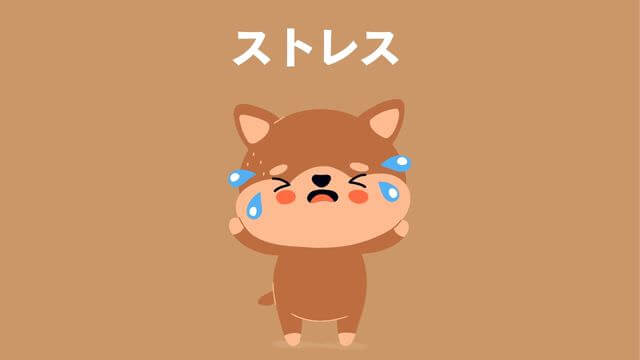 老犬がご飯を食べないときの食べさせ方