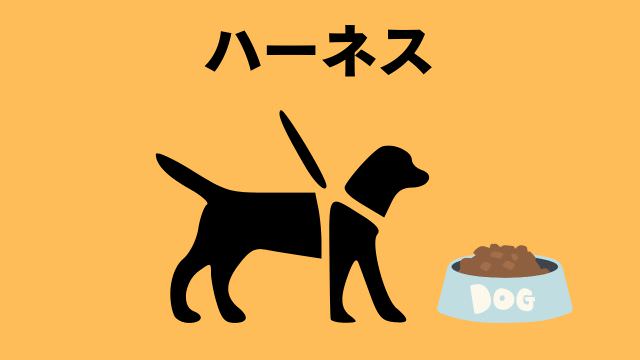 老犬の食事