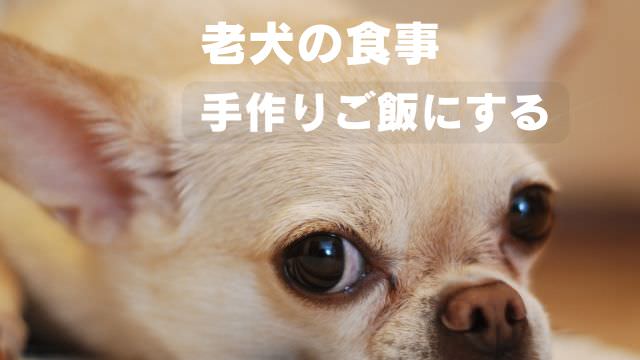 老犬の食事