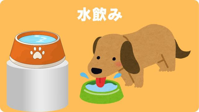 老犬介護で必要なもの