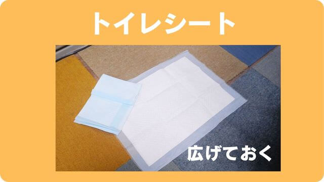 老犬介護で必要なもの