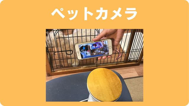 老犬介護で必要なもの