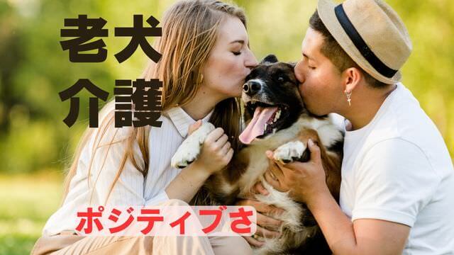 老犬介護で必要なもの
