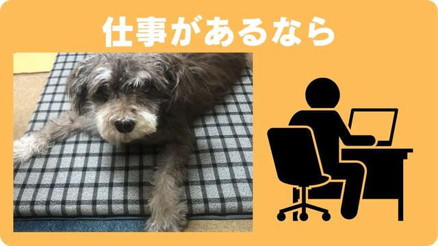 老犬介護で必要なもの