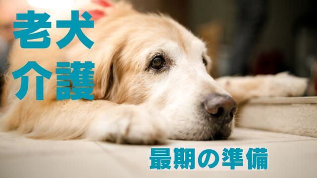 老犬介護で必要なもの