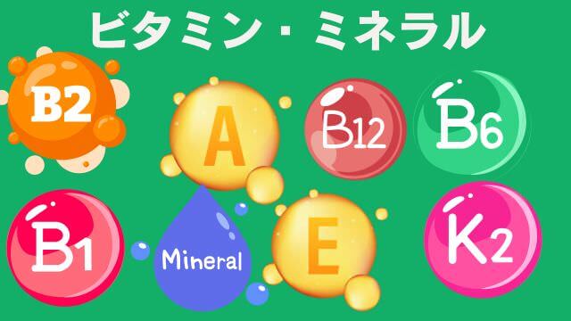 PAW'Sドッグフード