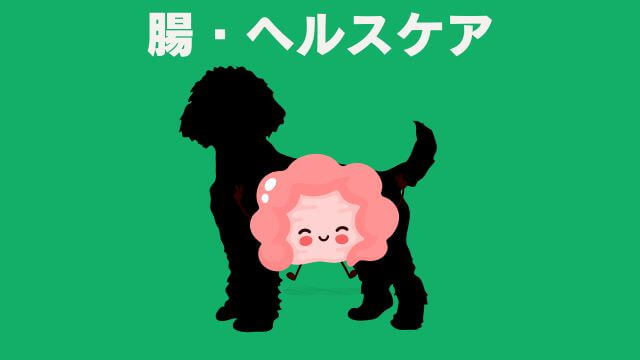 PAW'Sドッグフード